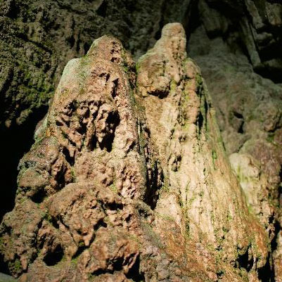 国指定天然記念物 七ツ釜鍾乳洞